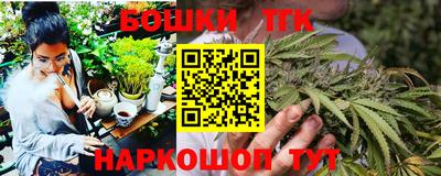 молекула духа Пугачёв