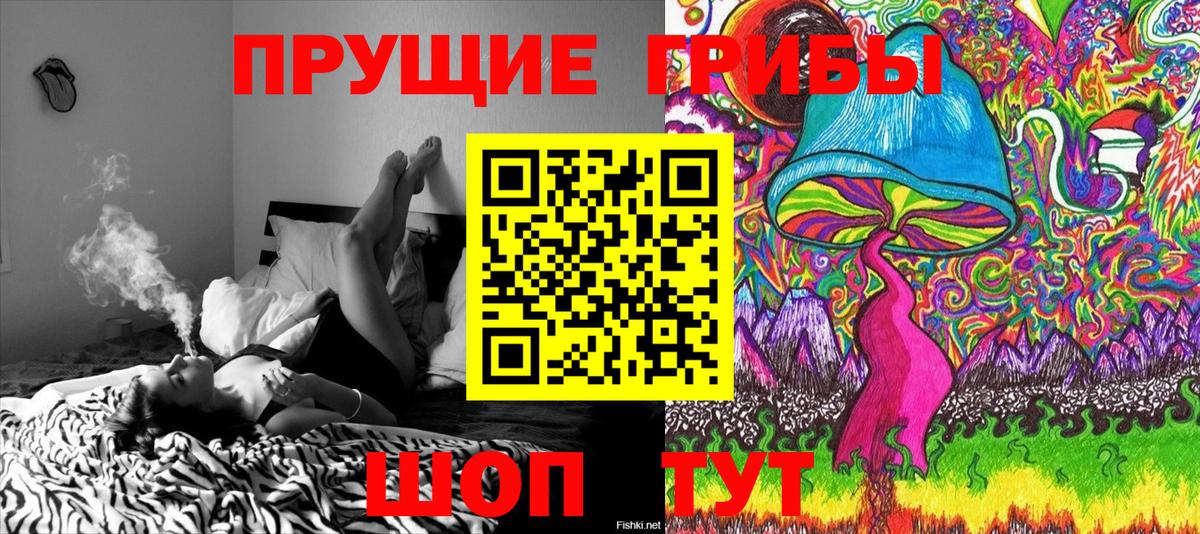 Галлюциногенные грибы ЛСД Большой Камень