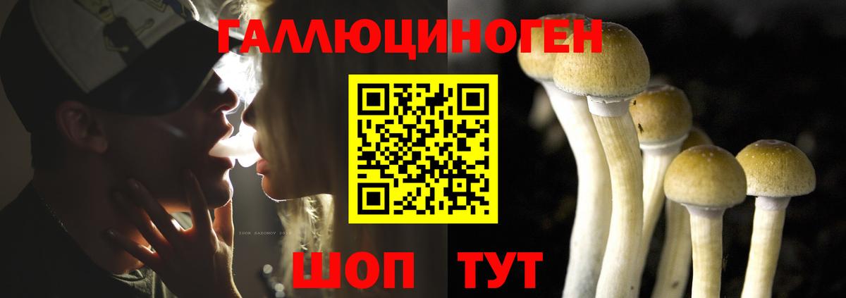 Псилоцибиновые грибы Cubensis  Вход с VPN  Большой Камень  Псилоцибиновые грибы Cubensis 